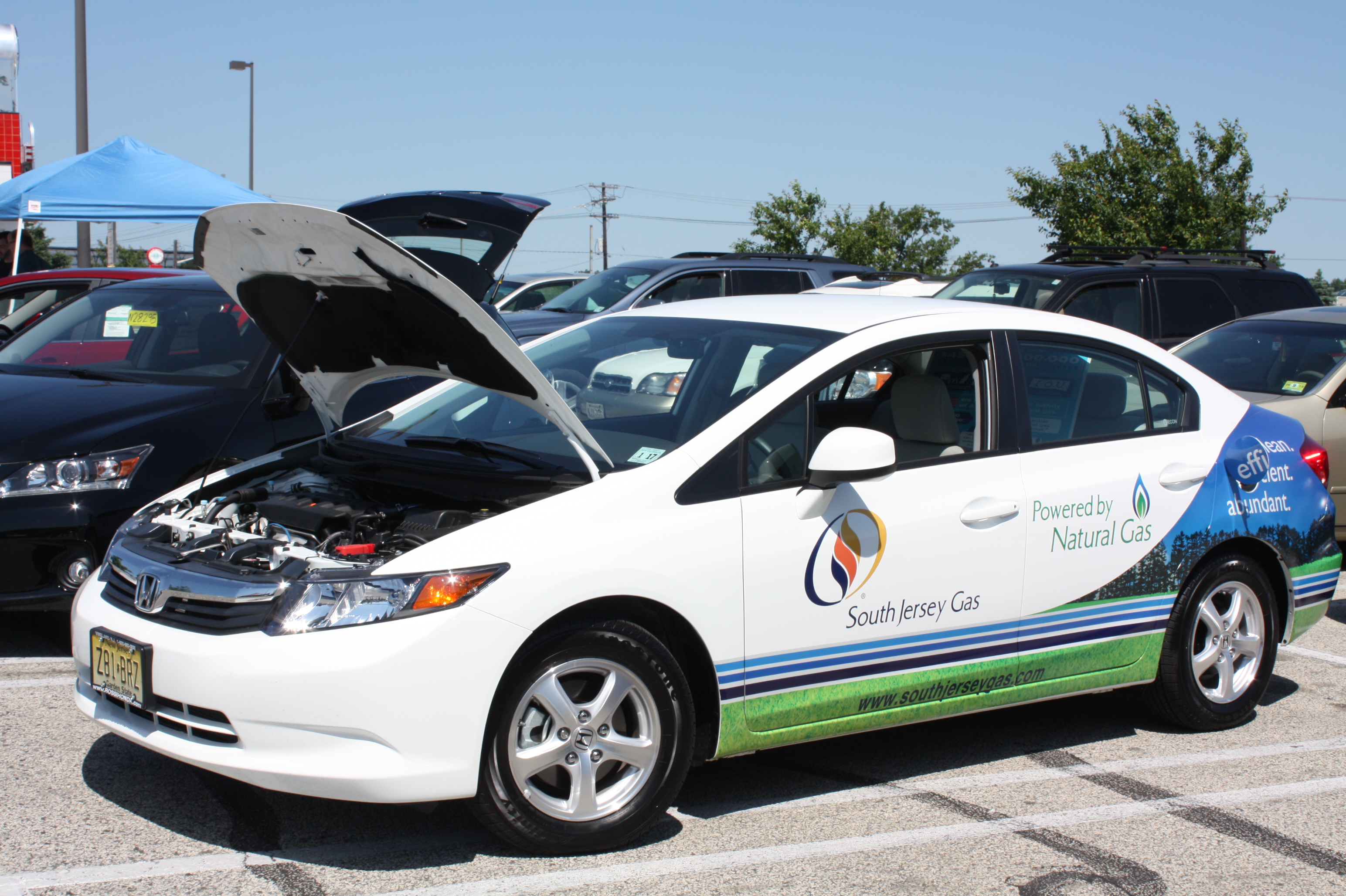 Fuel-efficient car show 11